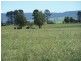 274 Painters Lane, Goulburn NSW 2580