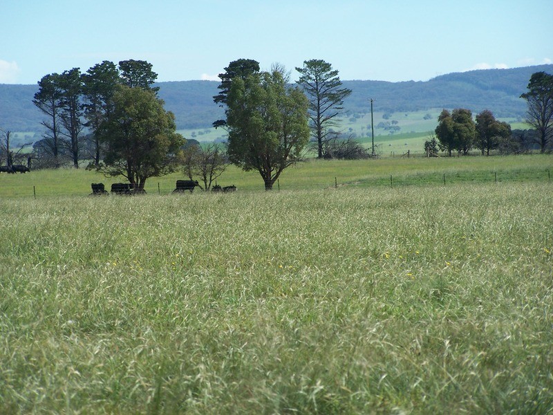 274 Painters Lane, Goulburn NSW 2580