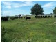 274 Painters Lane, Goulburn NSW 2580