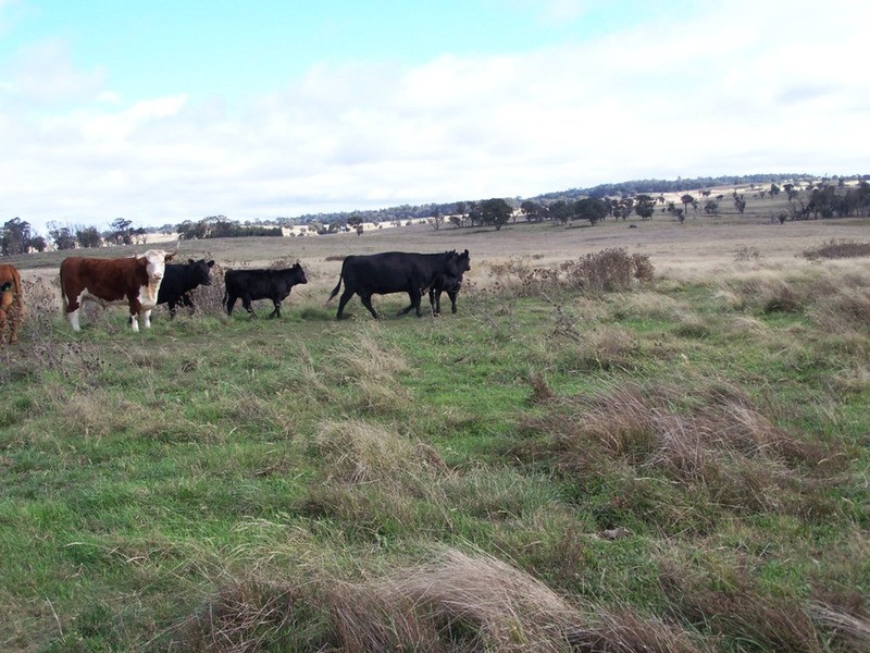 Lot 33  Golspie Street, Golspie NSW 2580