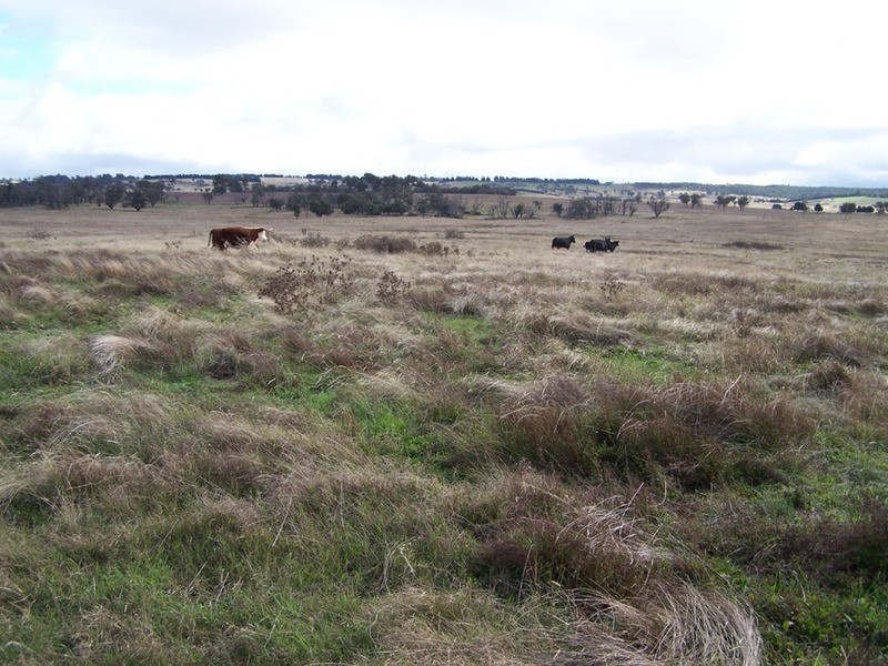 Lot 33  Golspie Street, Golspie NSW 2580