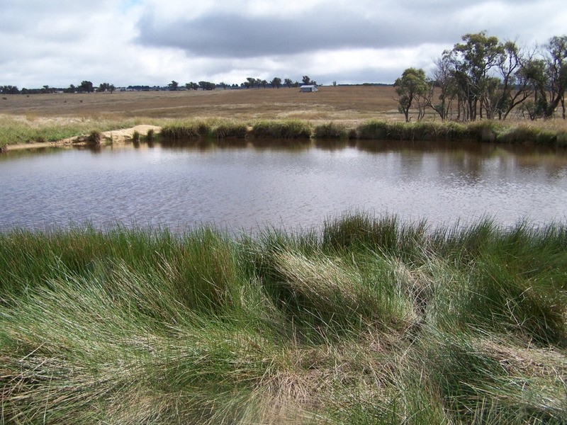 Lot 33  Golspie Street, Golspie NSW 2580