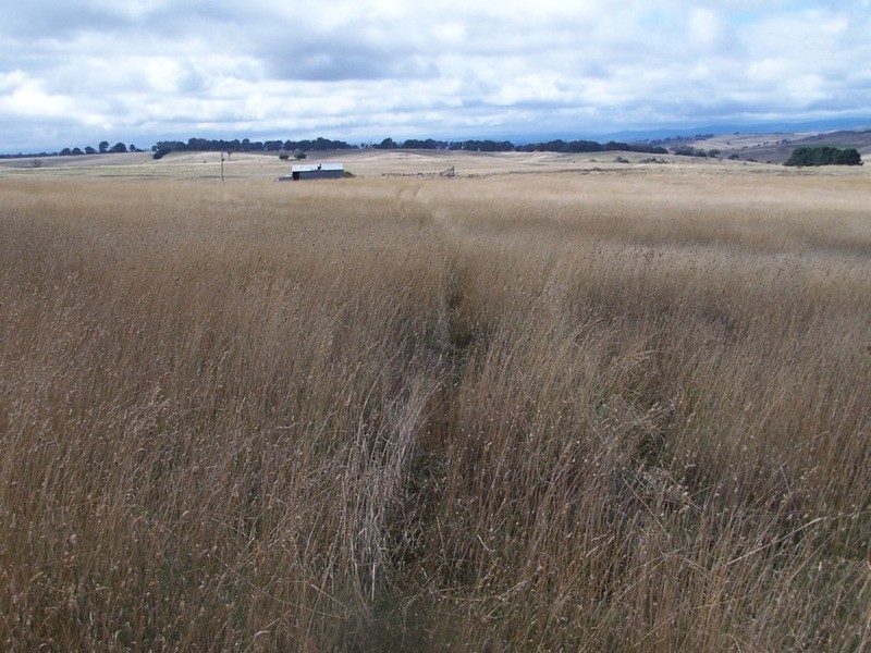 Lot 33  Golspie Street, Golspie NSW 2580