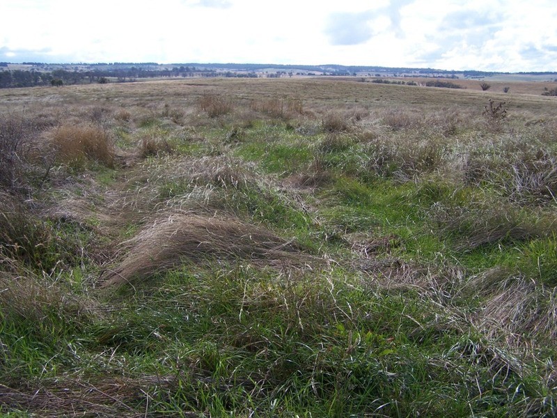 Lot 33  Golspie Street, Golspie NSW 2580