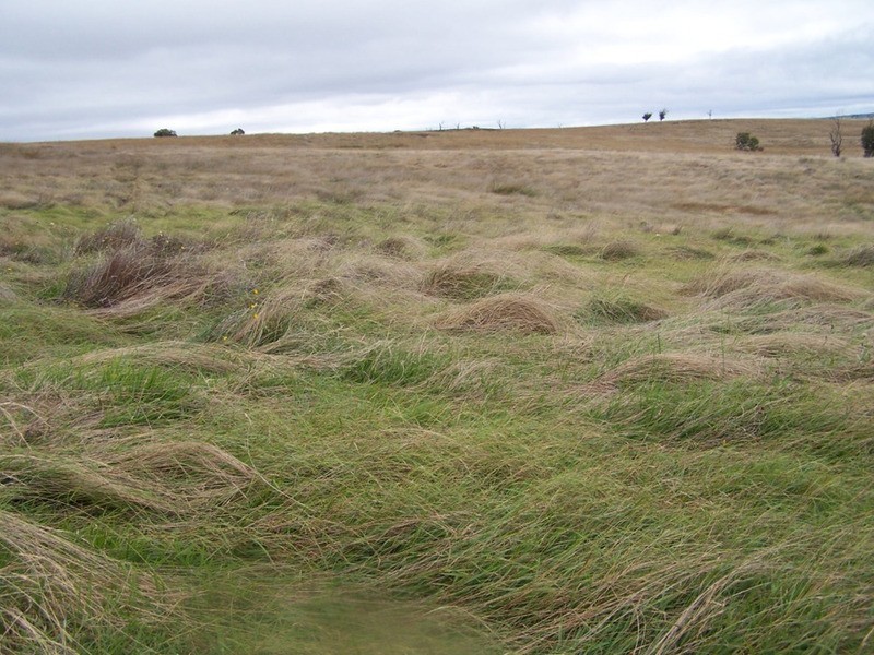 Lot 33  Golspie Street, Golspie NSW 2580