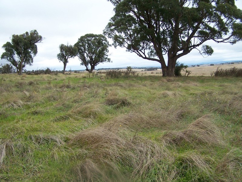 Lot 33  Golspie Street, Golspie NSW 2580