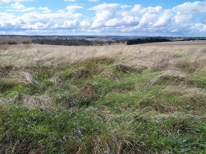 Lot 33  Golspie Street, Golspie NSW 2580