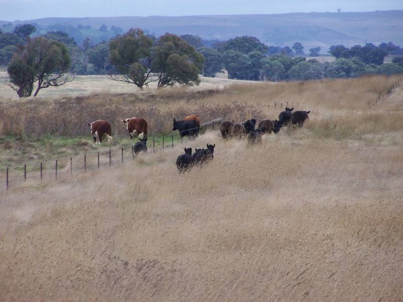 Lot 33  Golspie Street, Golspie NSW 2580