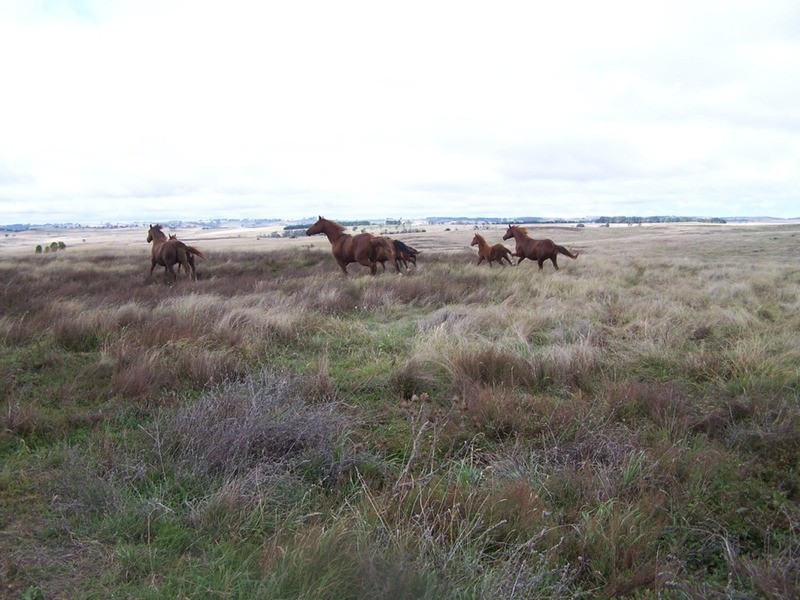 Lot 33  Golspie Street, Golspie NSW 2580