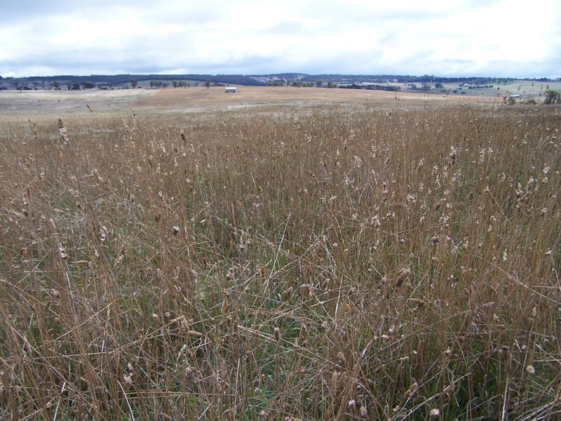 Lot 33  Golspie Street, Golspie NSW 2580