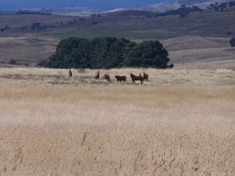 Lot 33  Golspie Street, Golspie NSW 2580