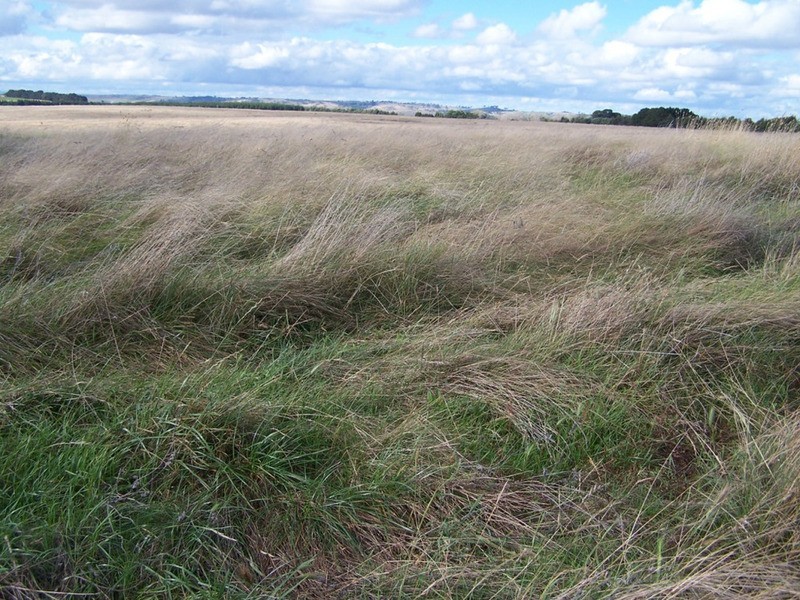 Lot 33  Golspie Street, Golspie NSW 2580