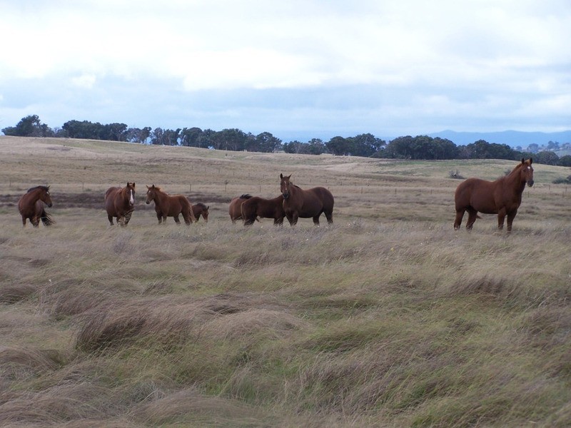 Lot 33  Golspie Street, Golspie NSW 2580