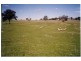 LOT 1 Bigga Road, Bigga NSW 2583