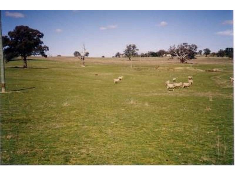 LOT 1 Bigga Road, Bigga NSW 2583