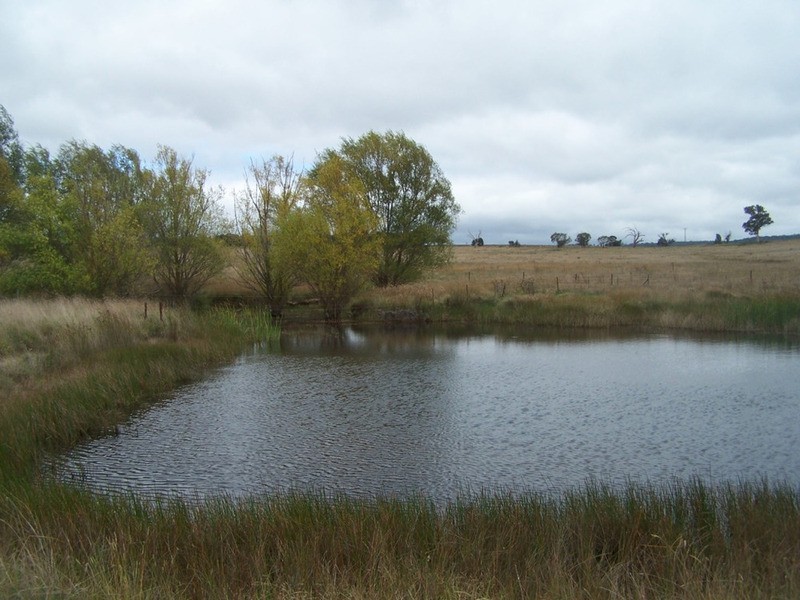 3315 Golspie Road, Laggan NSW 2583