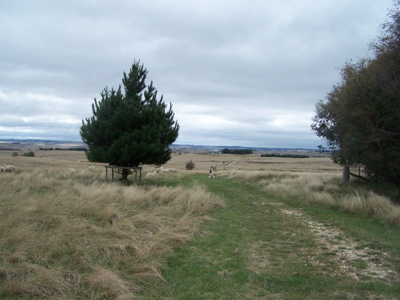 3315 Golspie Road, Laggan NSW 2583