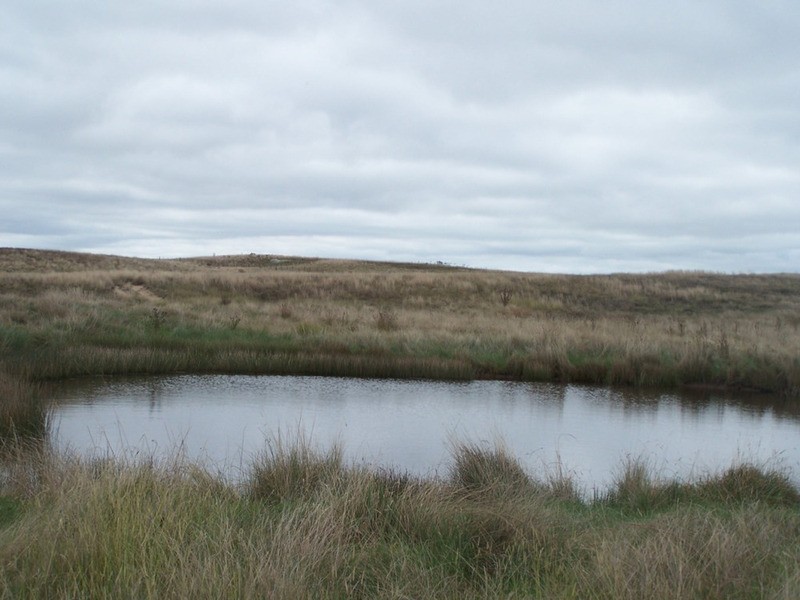 3315 Golspie Road, Laggan NSW 2583