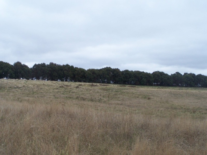 3315 Golspie Road, Laggan NSW 2583