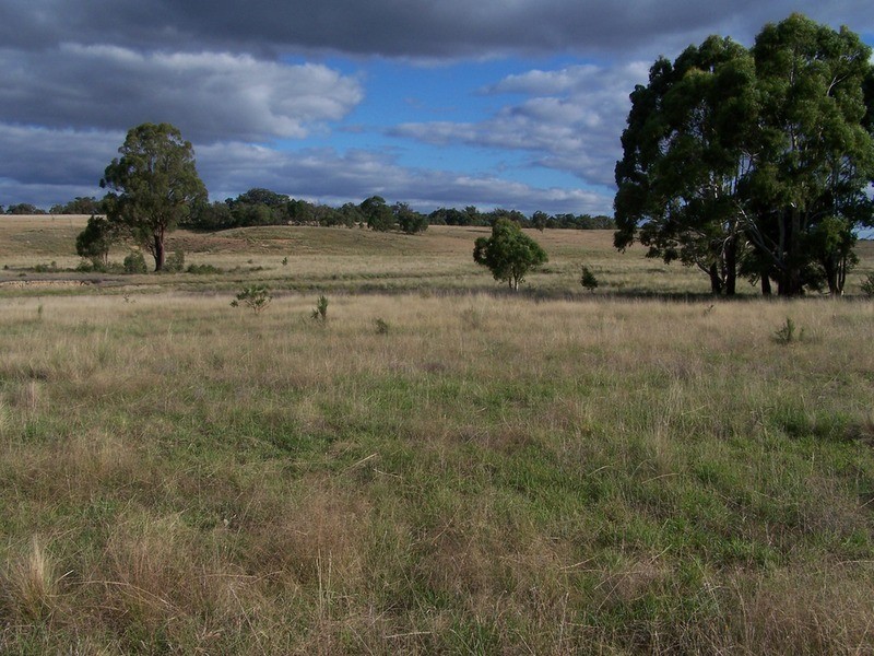“Ravenswood” Off Bullamalita Road, Quialigo NSW 2580