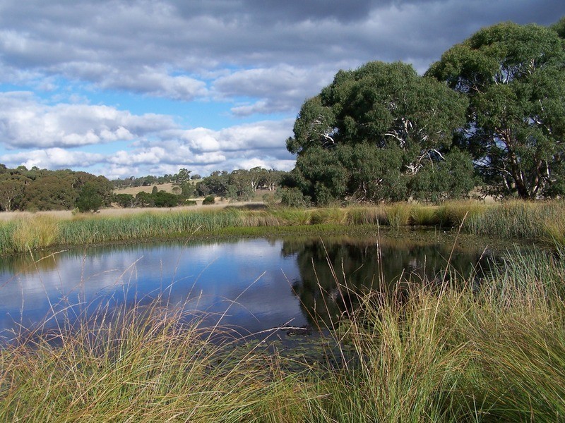 “Ravenswood” Off Bullamalita Road, Quialigo NSW 2580