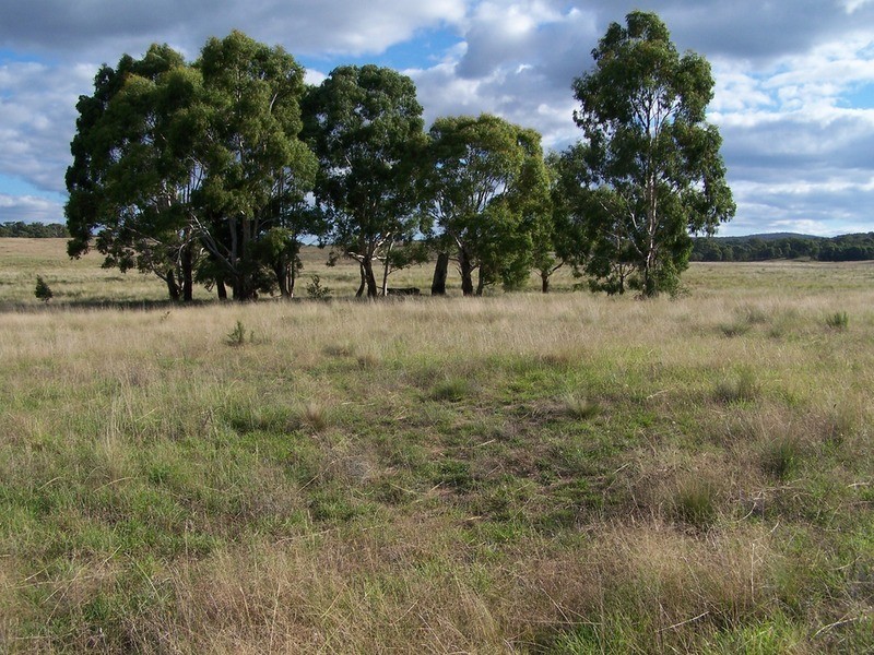 “Ravenswood” Off Bullamalita Road, Quialigo NSW 2580