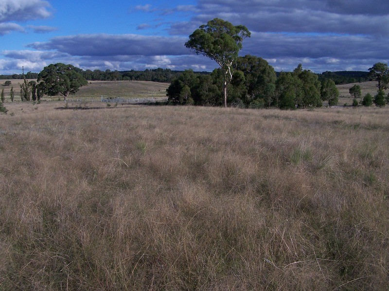 “Ravenswood” Off Bullamalita Road, Quialigo NSW 2580