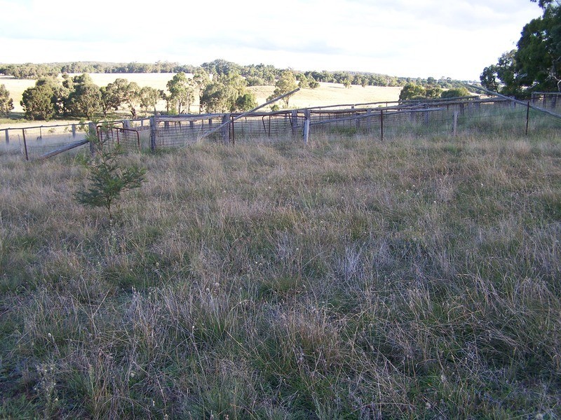 “Ravenswood” Off Bullamalita Road, Quialigo NSW 2580