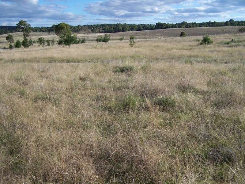 “Ravenswood” Off Bullamalita Road, Quialigo NSW 2580