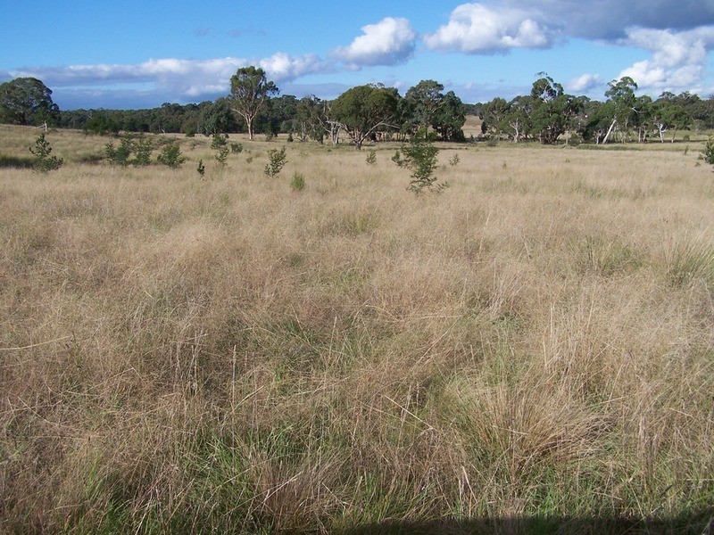 “Ravenswood” Off Bullamalita Road, Quialigo NSW 2580