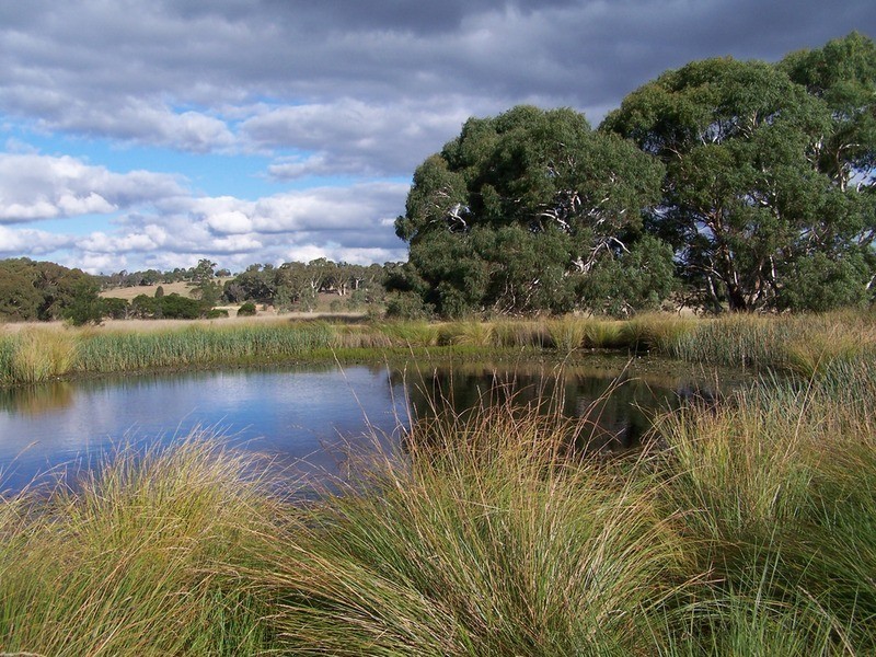 “Ravenswood” Off Bullamalita Road, Quialigo NSW 2580