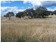“PINEGROVE” 1011 Fullerton Road, Fullerton NSW 2583