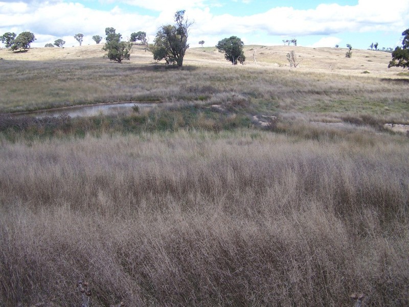 “PINEGROVE” 1011 Fullerton Road, Fullerton NSW 2583