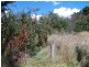 “PINEGROVE” 1011 Fullerton Road, Fullerton NSW 2583