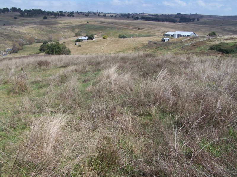 “Balmeringa” 1078 Fullerton Road, Fullerton NSW 2583