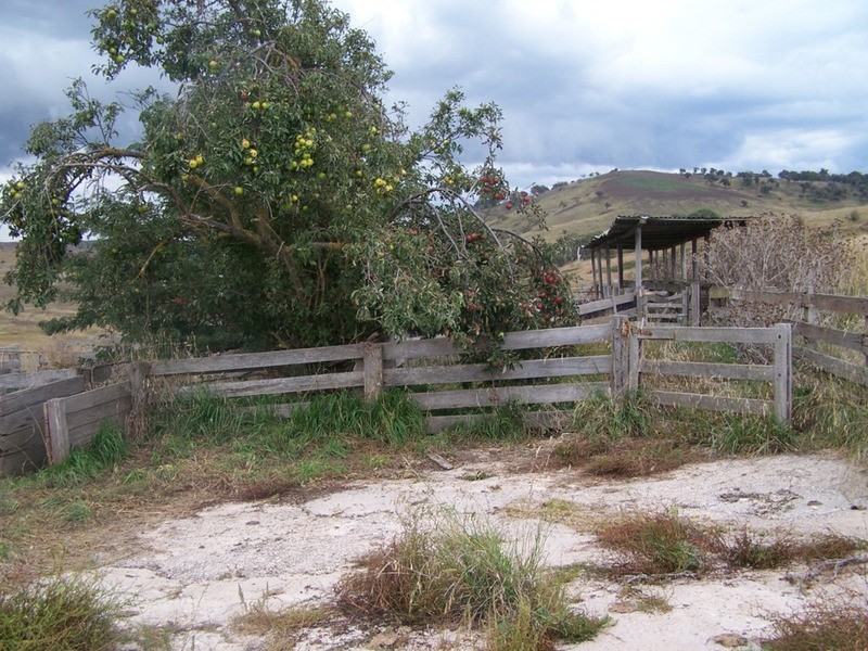 “Balmeringa” 1078 Fullerton Road, Fullerton NSW 2583