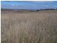 “Balmeringa” 1078 Fullerton Road, Fullerton NSW 2583