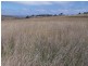“Balmeringa” 1078 Fullerton Road, Fullerton NSW 2583