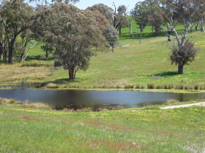 Lot 245 Hearn Street, Bigga NSW 2583