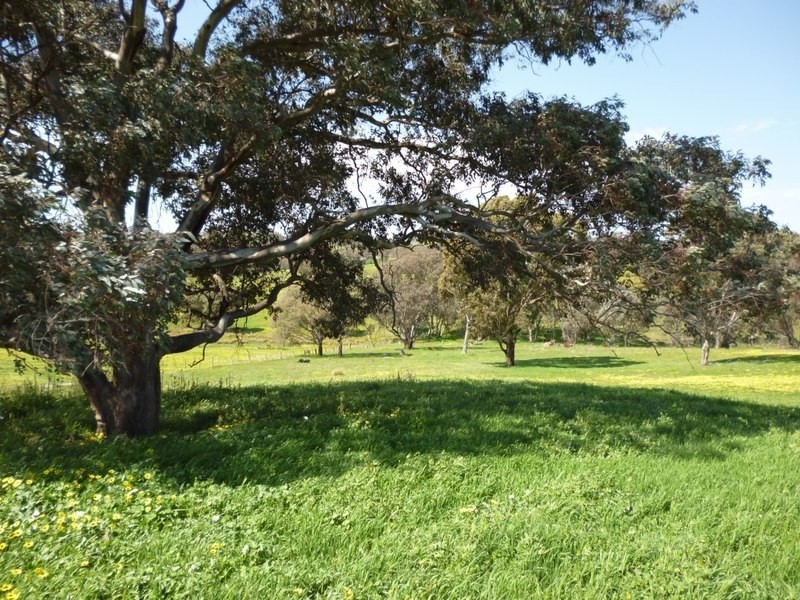 Lot 245 Hearn Street, Bigga NSW 2583