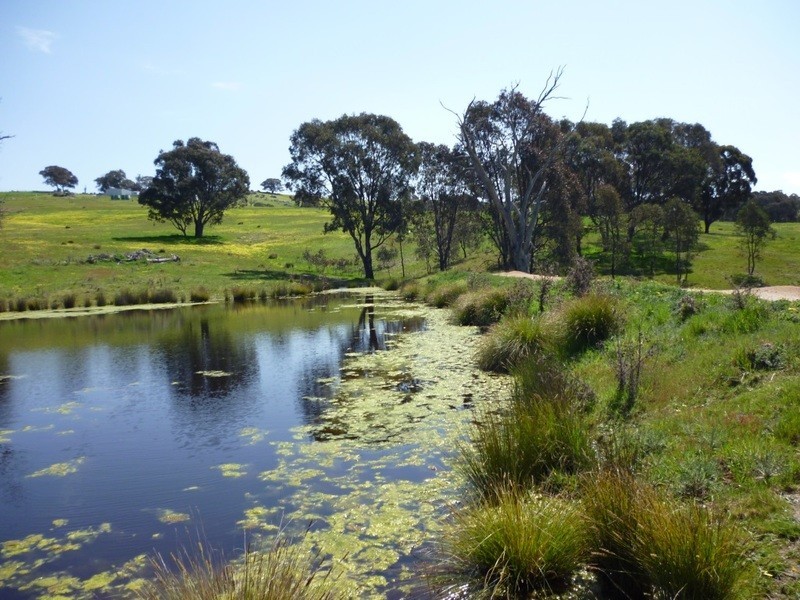 Lot 245 Hearn Street, Bigga NSW 2583