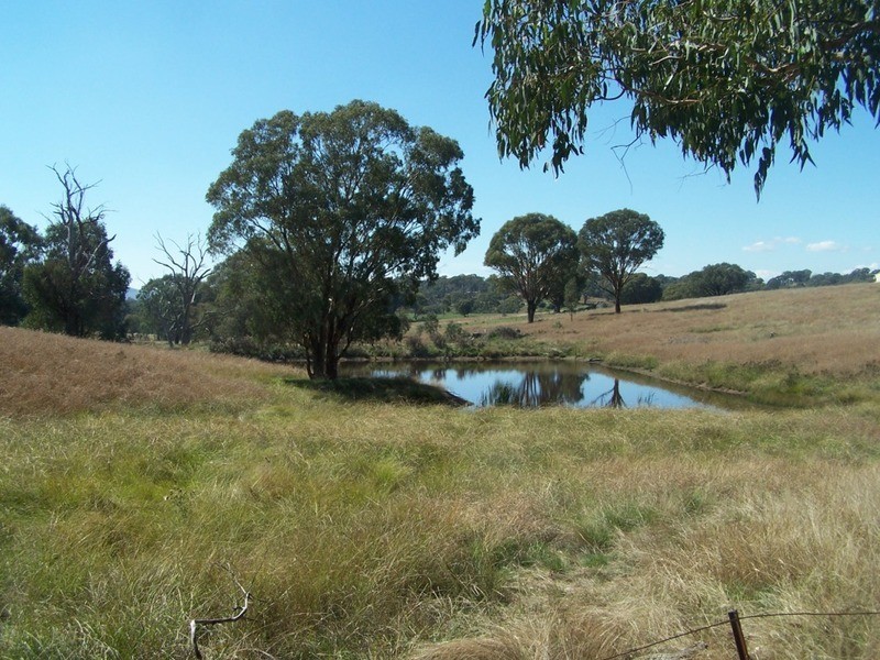 Lot 245 Hearn Street, Bigga NSW 2583