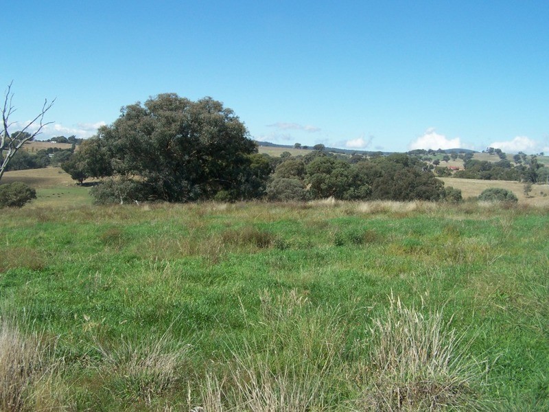 Lot 245 Hearn Street, Bigga NSW 2583