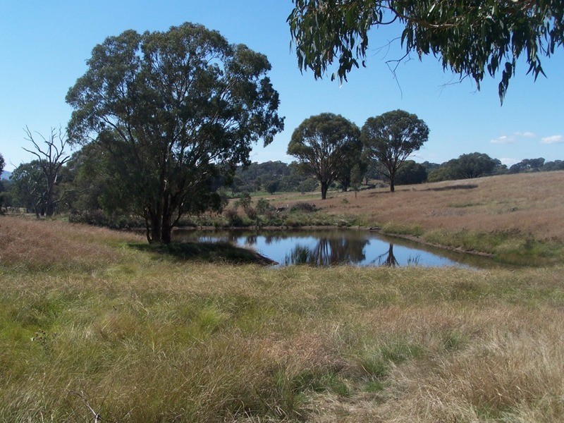 Lot 245 Hearn Street, Bigga NSW 2583