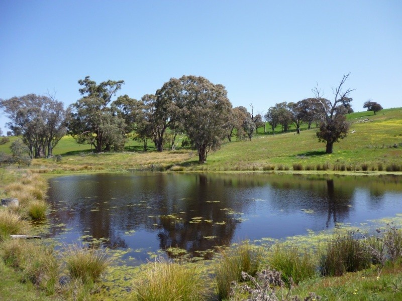 Lot 245 Hearn Street, Bigga NSW 2583