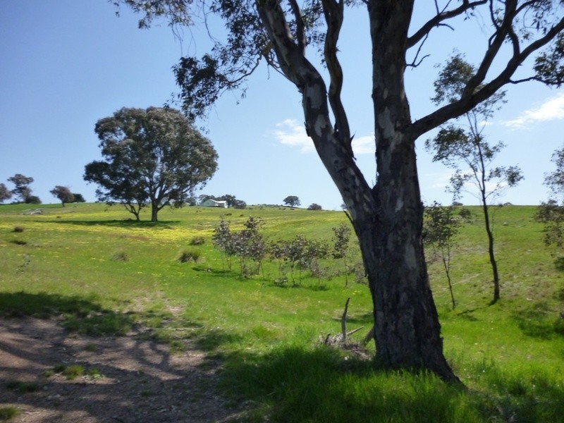 Lot 245 Hearn Street, Bigga NSW 2583