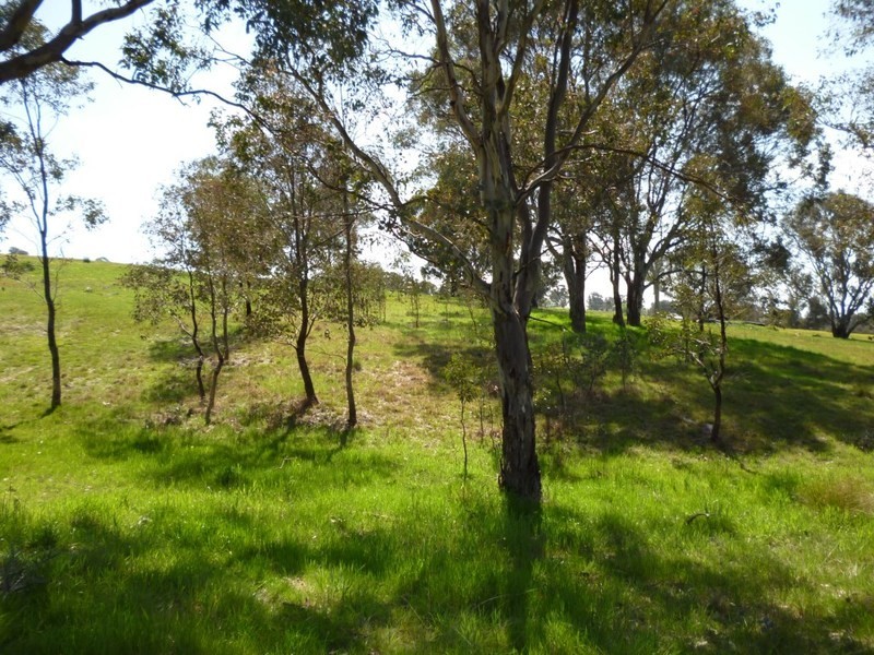 Lot 245 Hearn Street, Bigga NSW 2583