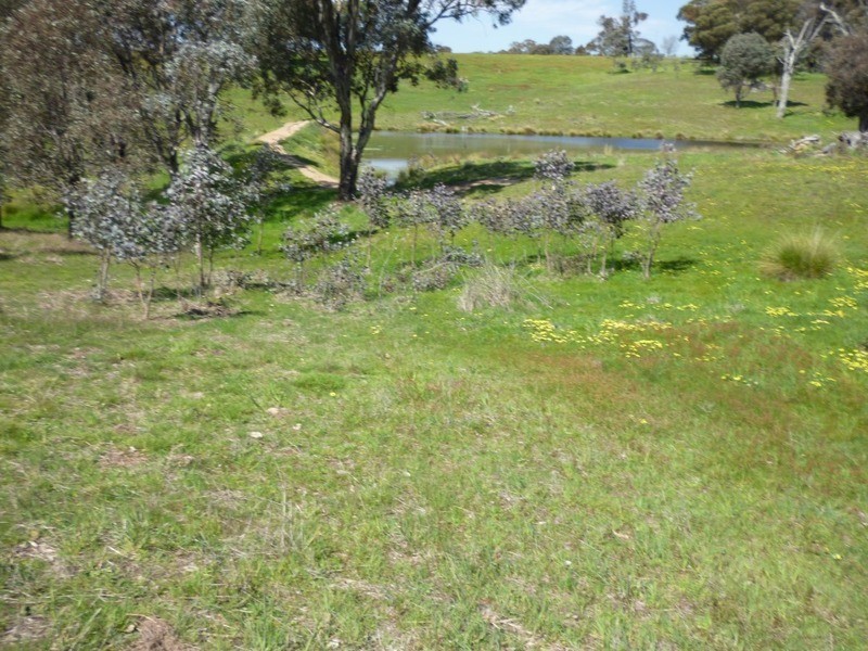 Lot 245 Hearn Street, Bigga NSW 2583