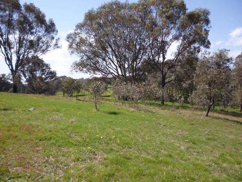 Lot 245 Hearn Street, Bigga NSW 2583