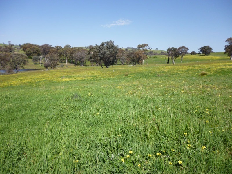 Lot 245 Hearn Street, Bigga NSW 2583